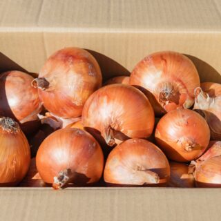 とろける甘さ！淡路島産玉ねぎ 20kg｜淡路島玉ねぎ情報局 | Awaji