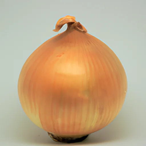 淡路島-タマネギ