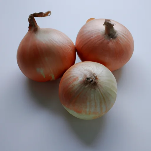 淡路島-玉ねぎ-道の駅-グルメ